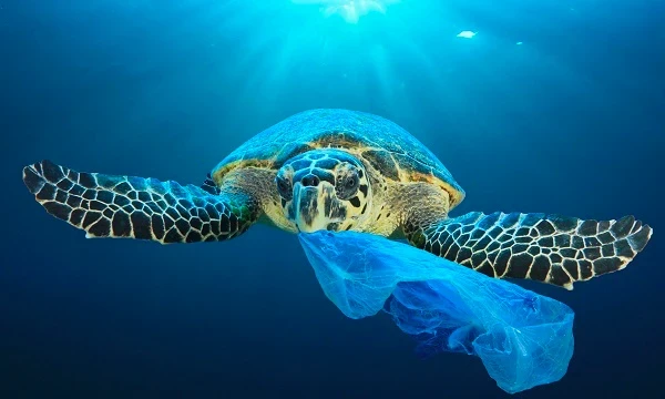 Plastic pollution: A changing of the tide