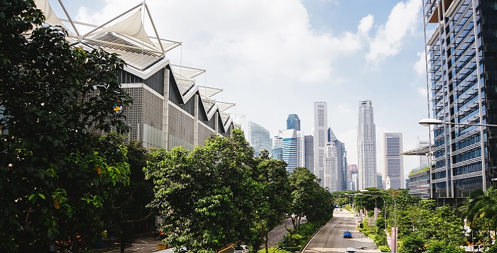 sustainable future