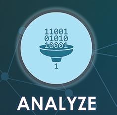 analyze