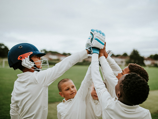 Joy of Cricket Joy of Cricket