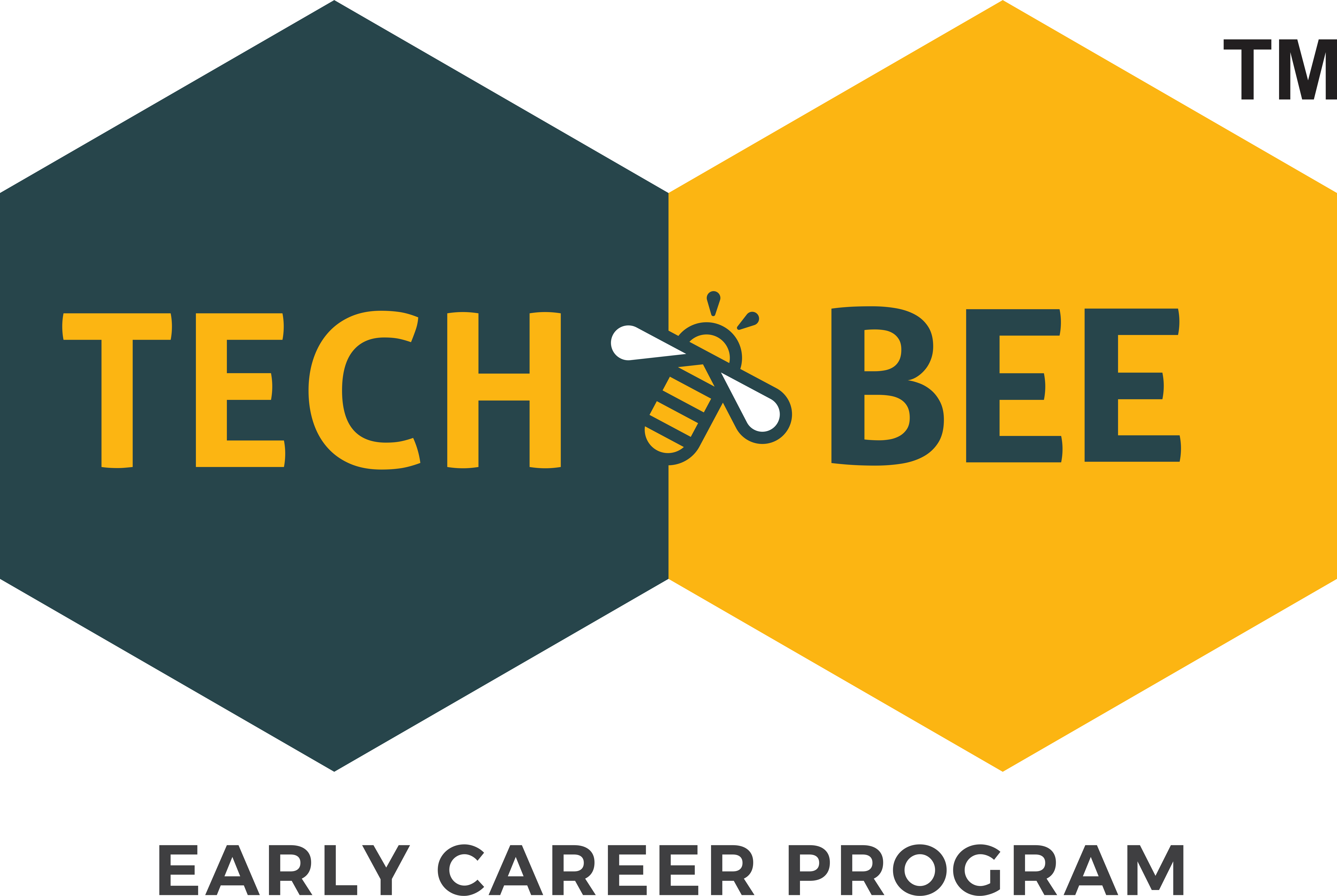 TECH BEE