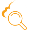 Cloud (Platforms)