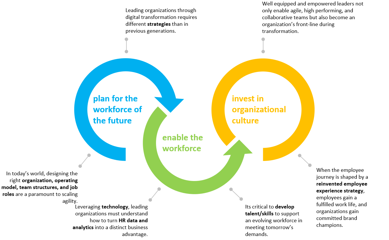 Workforce Transformation