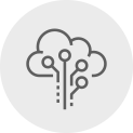 Hybrid Cloud