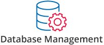 Database Management Database Management