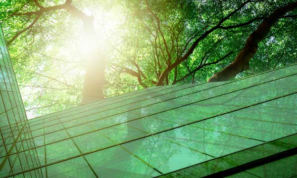 HCLFoundation plants 47,000+ saplings across India to support a sustainable planet
