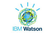 IBM IBM