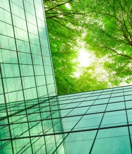 Investing in Future of Work