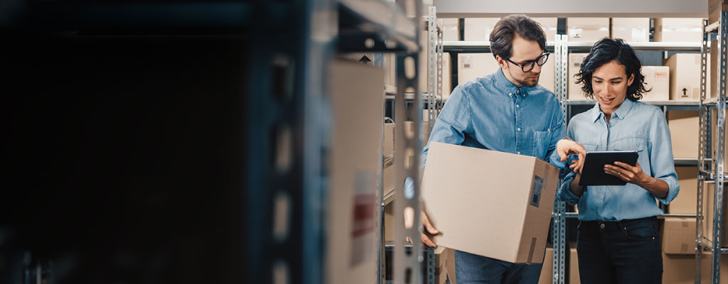 B2B Rapid eCommerce solutio