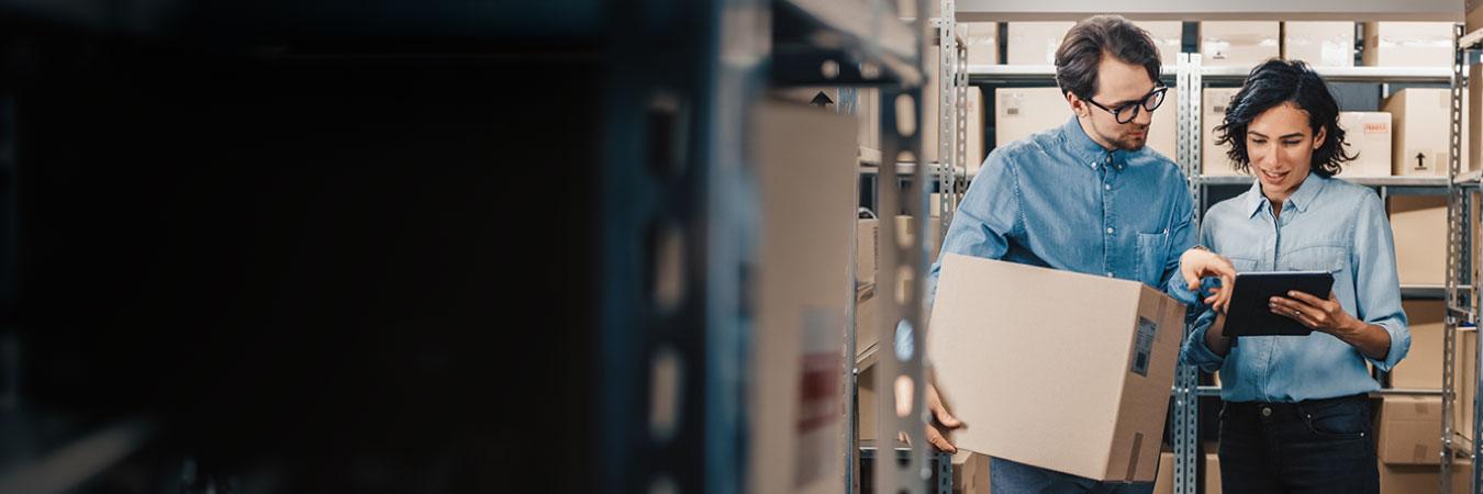 B2B Rapid eCommerce solutio