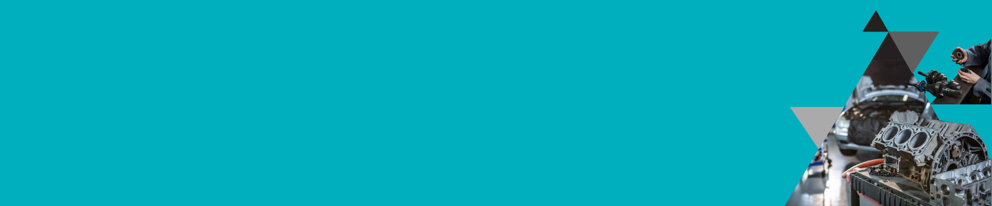 ESG transformation for a Swedish luxury automobile manufacturer