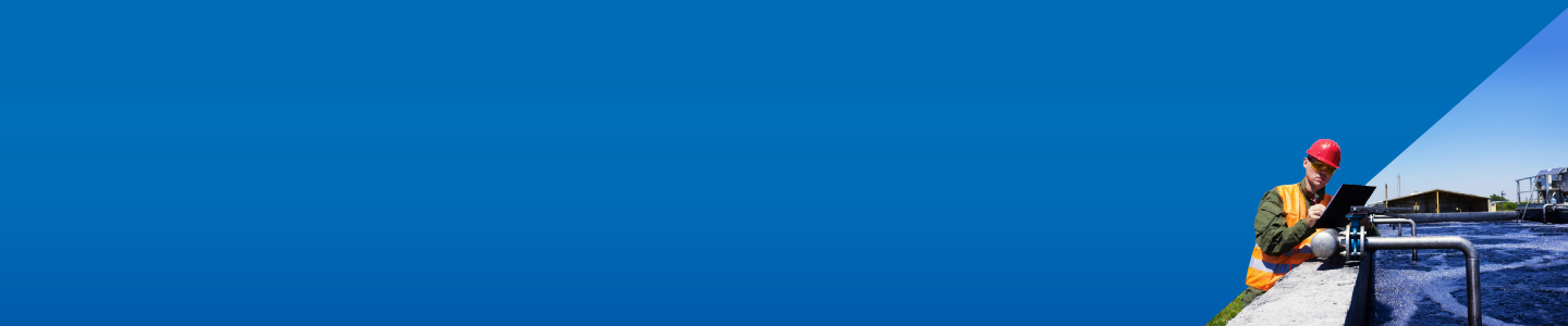 Safeguarding web applications against unauthorized access