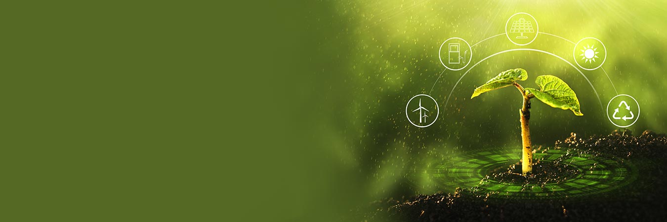 Episode 1: Sustainable product design 