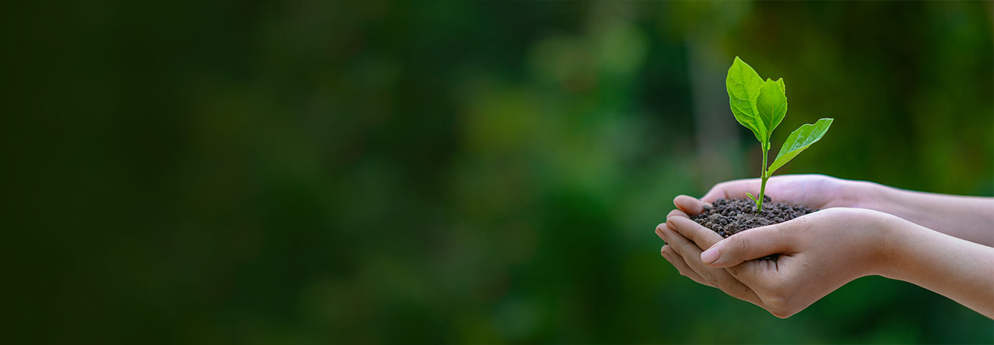 Creating a sustainable future for a leading energy company