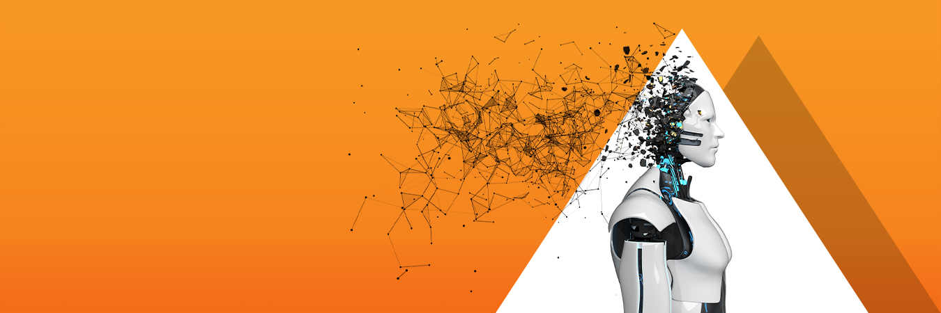 HCL Amazon Connect Services (ACS)
