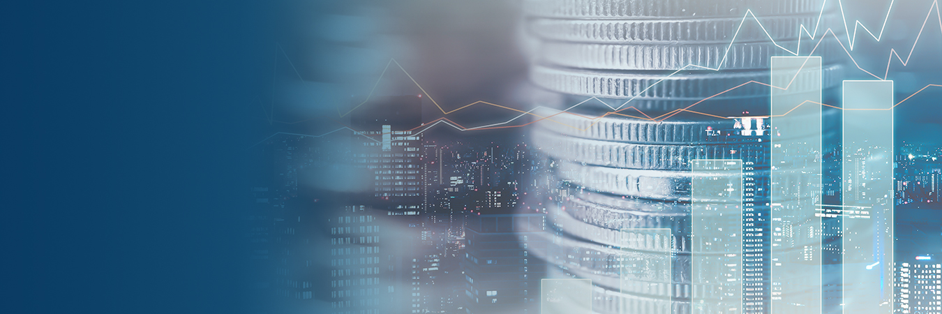 Subsidiaries Financials