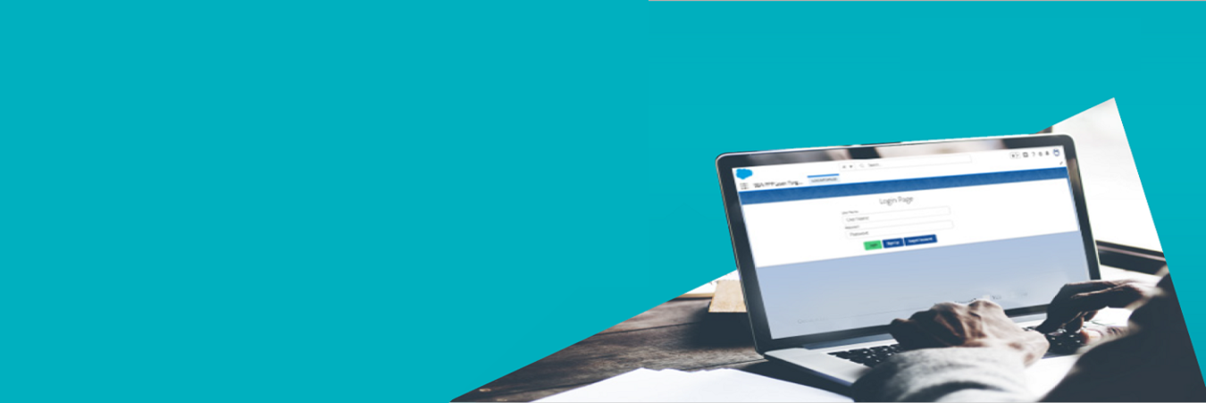 HCL PPP Loan Forgiveness Solution