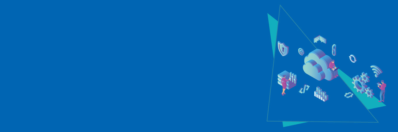 HCL White paper SAP Indirect Access
