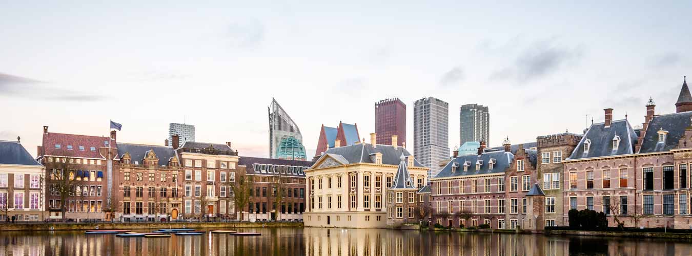 Netherlands India Business Meet 2017