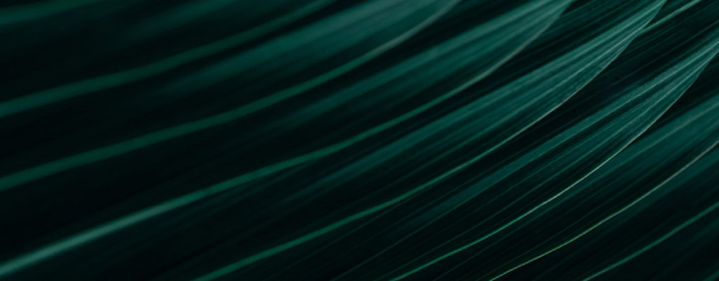 Sustainability and eCommerce