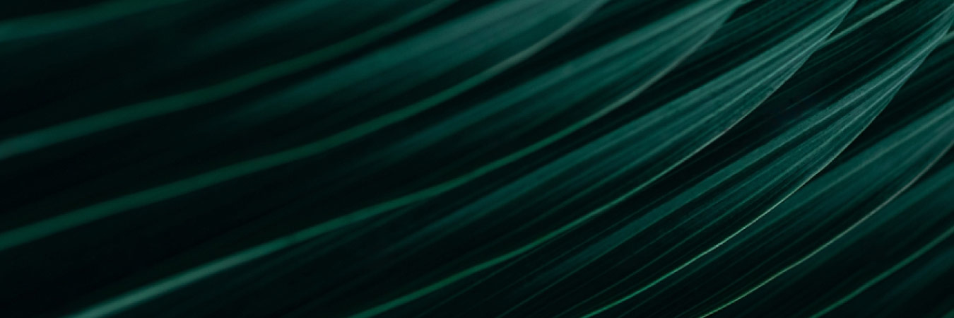 Sustainability and eCommerce