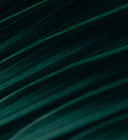 Sustainability and eCommerce