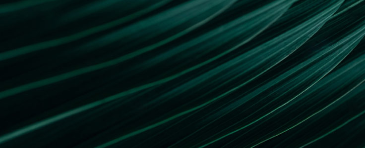 Sustainability and eCommerce