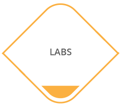 LABS