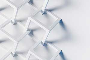 Adaptive Advantage: How Organizations Can Win in the Age of Disruption