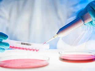 Life Sciences & Healthcare Life Sciences & Healthcare
