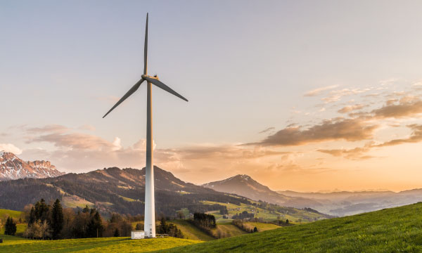 Going green: A primer on adopting sustainable practices