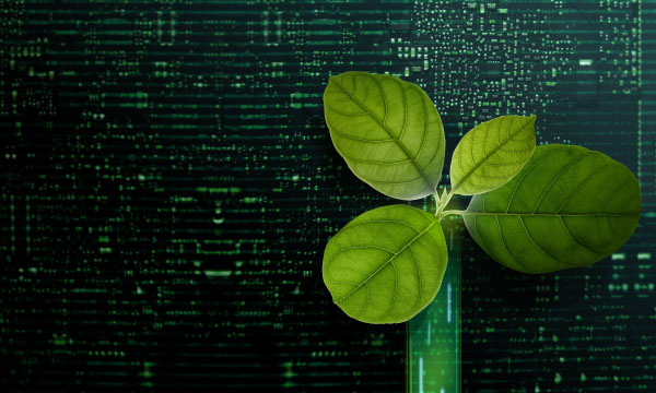 The decade of action for sustainability-led business
