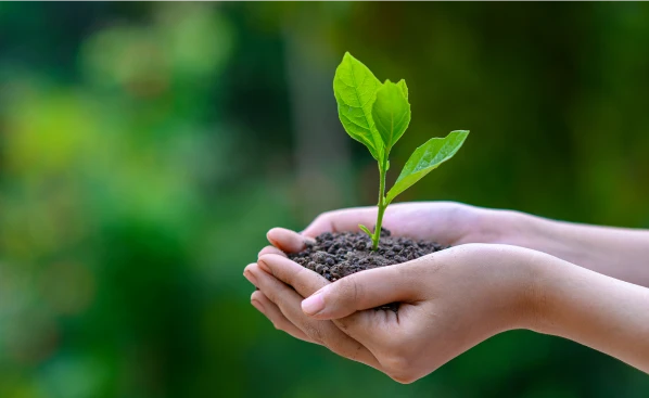 Enabling the promise of healthy communities for a utilities major