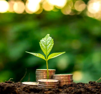 Sustainable Work practices & Employee Empowerment