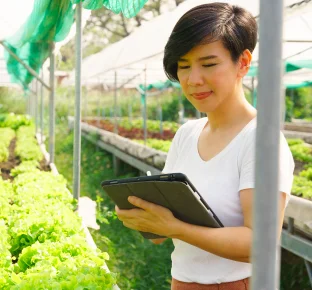 Key elements of sustainable supply chain management