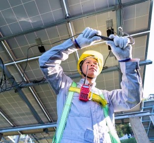 Role of technology enablement in sustainability