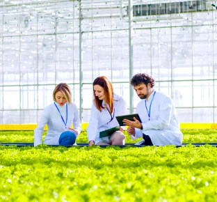 Sustainability definition and leadership responsibility to create a sustainable future