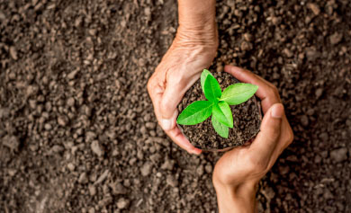 Como acelerar a sustentabilidade nos negócios