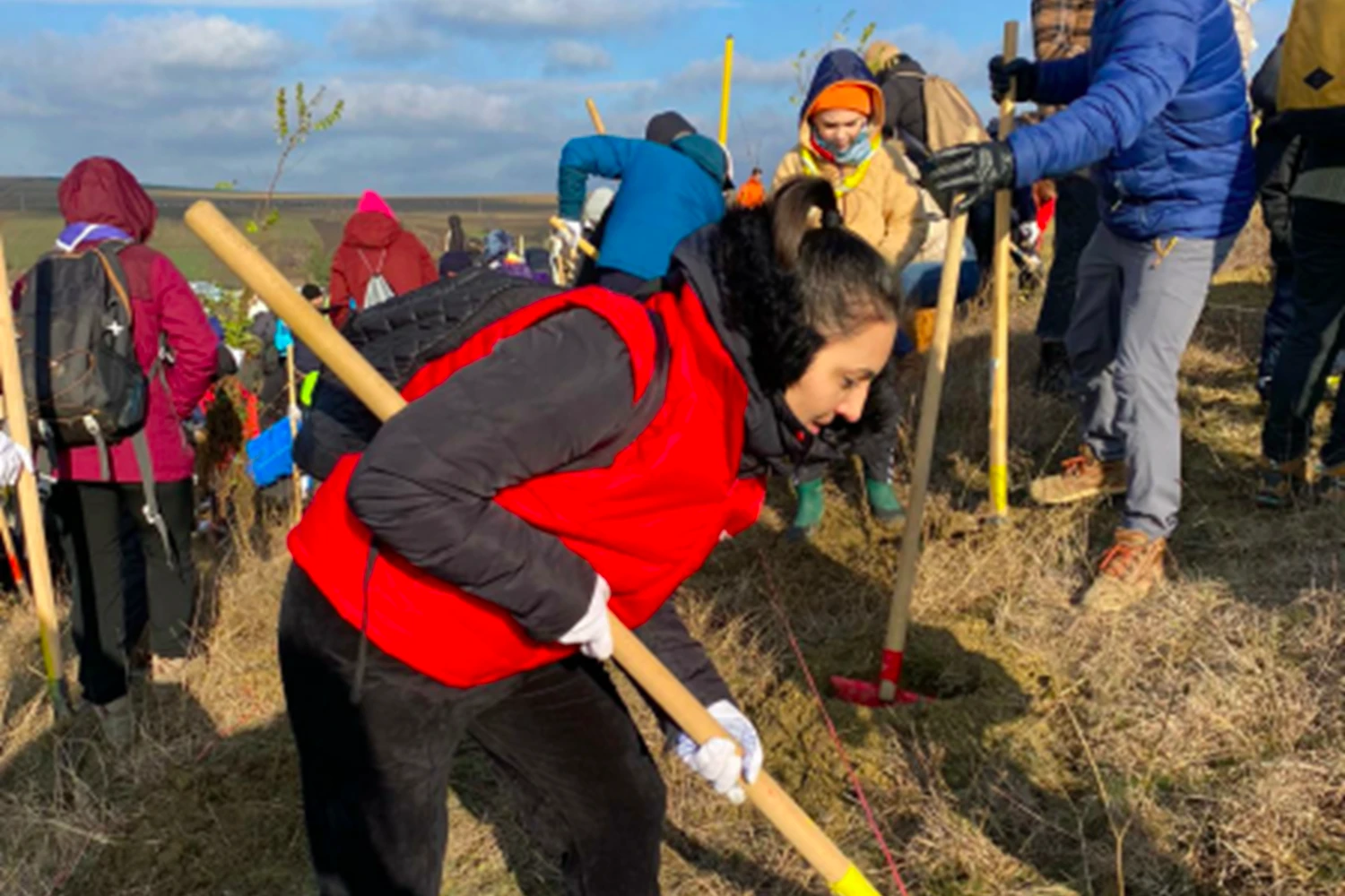 Tree planting CSR initiative in Iasi county