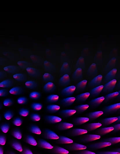 Accelerating Digital Transformations