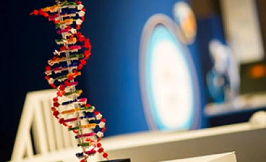 Accelerating marketing transformation at Pentagon Federal Union
