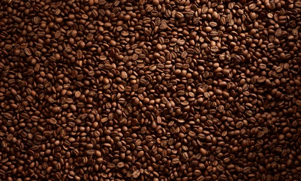 Beverage leader shifts 90% workload to cloud