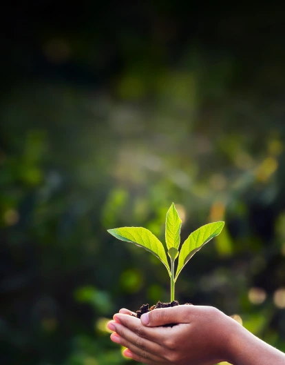 Climate Risk Assessment Solution Climate Risk Assessment Solution
