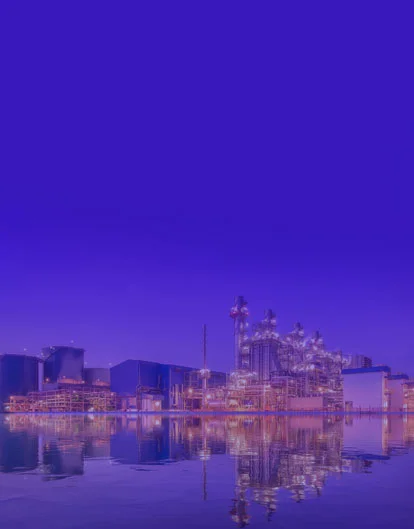 Modernizing IT infrastructure for a prominent gas distributor