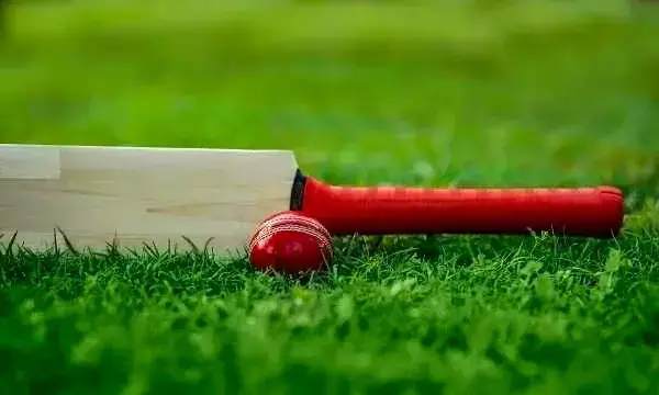 The legacy of 2023: How tech shaped the cricketing narrative The legacy of 2023: How tech shaped the cricketing narrative