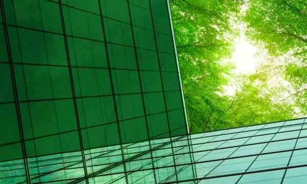 Sustainability: How green cloud computing can play its part