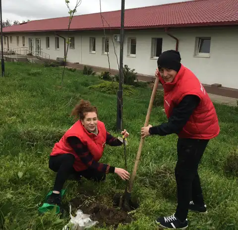 Tree and Flower Planting 2023 in Romania - HCLTech CSR