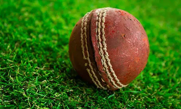 Cricket scores a six with digital