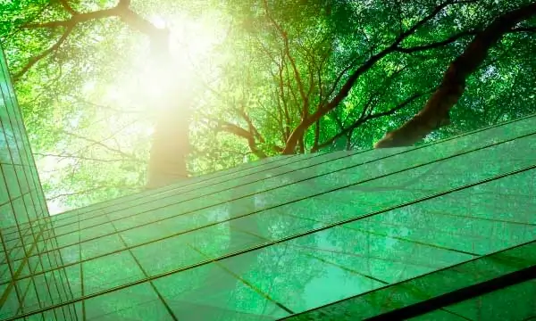 HCLFoundation plants 47,000+ saplings across India to support a sustainable planet