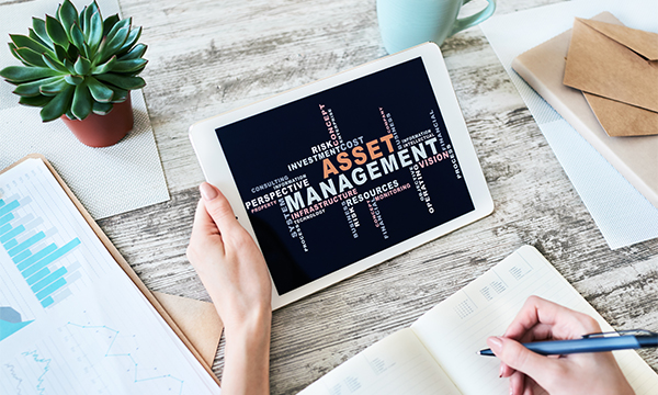 Asset Management Solution